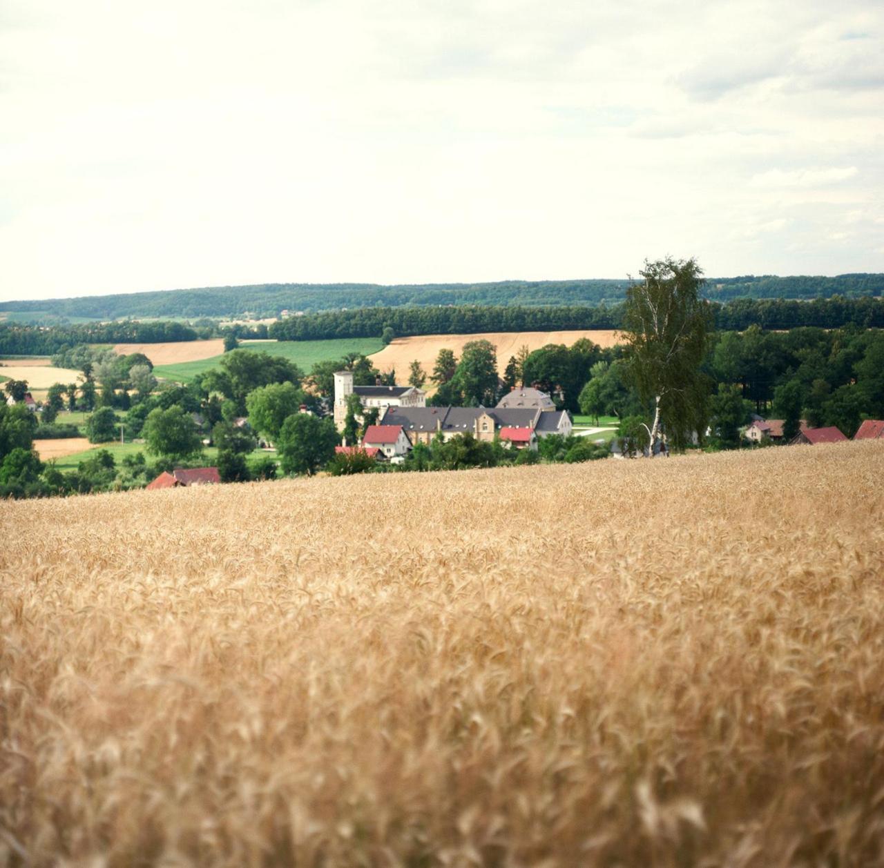 Pałac Brunów Lwowek Slaski Exterior foto