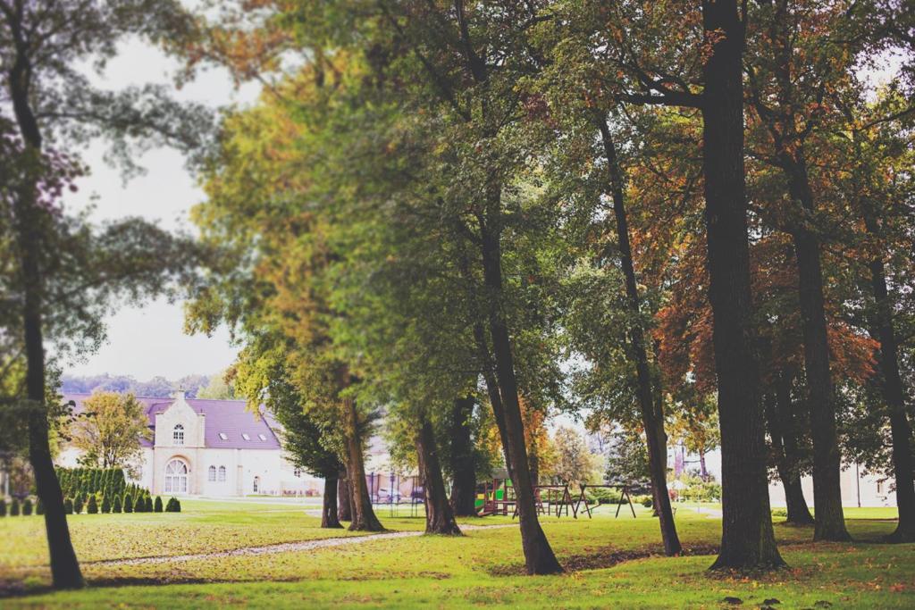 Pałac Brunów Lwowek Slaski Exterior foto